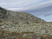 N, Buskerud, Hol, Prestholtseter 32, Saxifraga-Willem van Kruijsbergen