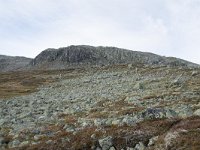 N, Buskerud, Hol, Prestholtseter 35, Saxifraga-Willem van Kruijsbergen