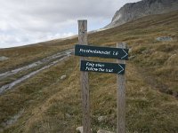 N, Buskerud, Hol, Prestholtseter 6, Saxifraga-Willem van Kruijsbergen