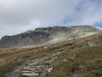 N, Buskerud, Hol, Prestholtseter 9, Saxifraga-Willem van Kruijsbergen