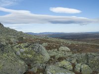 N, Buskerud, Hol, Prestholtskaret 100, Saxifraga-Annemiek Bouwman