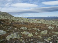 N, Buskerud, Hol, Prestholtskaret 101, Saxifraga-Annemiek Bouwman