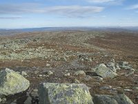 N, Buskerud, Hol, Prestholtskaret 102, Saxifraga-Annemiek Bouwman