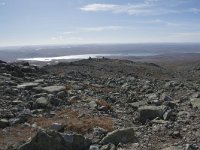 N, Buskerud, Hol, Prestholtskaret 11, Saxifraga-Willem van Kruijsbergen