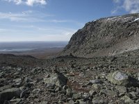 N, Buskerud, Hol, Prestholtskaret 12, Saxifraga-Willem van Kruijsbergen