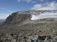 N, Buskerud, Hol, Prestholtskaret 13, Saxifraga-Willem van Kruijsbergen