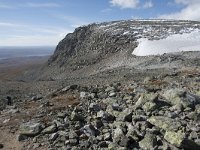 N, Buskerud, Hol, Prestholtskaret 15, Saxifraga-Willem van Kruijsbergen