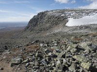 N, Buskerud, Hol, Prestholtskaret 16, Saxifraga-Willem van Kruijsbergen