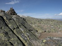 N, Buskerud, Hol, Prestholtskaret 31, Saxifraga-Willem van Kruijsbergen