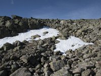 N, Buskerud, Hol, Prestholtskaret 37, Saxifraga-Willem van Kruijsbergen