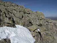 N, Buskerud, Hol, Prestholtskaret 38, Saxifraga-Willem van Kruijsbergen