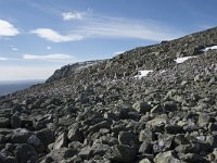 N, Buskerud, Hol, Prestholtskaret 41, Saxifraga-Willem van Kruijsbergen