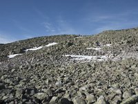 N, Buskerud, Hol, Prestholtskaret 42, Saxifraga-Willem van Kruijsbergen