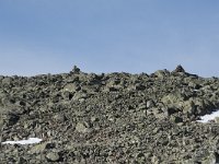 N, Buskerud, Hol, Prestholtskaret 43, Saxifraga-Willem van Kruijsbergen