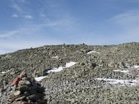 N, Buskerud, Hol, Prestholtskaret 44, Saxifraga-Willem van Kruijsbergen