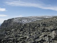 N, Buskerud, Hol, Prestholtskaret 45, Saxifraga-Willem van Kruijsbergen