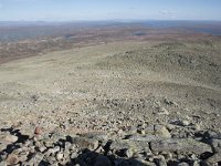 N, Buskerud, Hol, Prestholtskaret 57, Saxifraga-Willem van Kruijsbergen