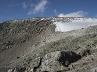 N, Buskerud, Hol, Prestholtskaret 6, Saxifraga-Willem van Kruijsbergen