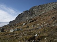 N, Buskerud, Hol, Prestholtskaret 69, Saxifraga-Willem van Kruijsbergen