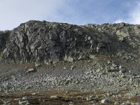 N, Buskerud, Hol, Prestholtskaret 79, Saxifraga-Willem van Kruijsbergen