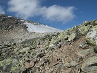 N, Buskerud, Hol, Prestholtskaret 82, Saxifraga-Annemiek Bouwman