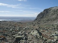 N, Buskerud, Hol, Prestholtskaret 83, Saxifraga-Annemiek Bouwman