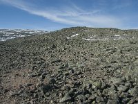 N, Buskerud, Hol, Prestholtskaret 86, Saxifraga-Annemiek Bouwman