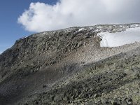 N, Buskerud, Hol, Prestholtskaret 9, Saxifraga-Willem van Kruijsbergen