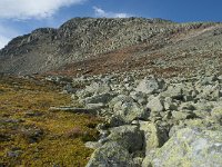 N, Buskerud, Hol, Prestholtskaret 92, Saxifraga-Annemiek Bouwman