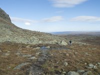 N, Buskerud, Hol, Prestholtskaret 96, Saxifraga-Annemiek Bouwman