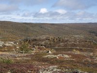 N, Buskerud, Hol, Tuva turisthytte 1, Saxifraga-Willem van Kruijsbergen