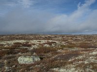 N, Buskerud, Hol, Tuva turisthytte 109, Saxifraga-Annemiek Bouwman