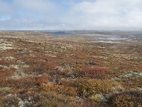 N, Buskerud, Hol, Tuva turisthytte 110, Saxifraga-Annemiek Bouwman