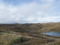 N, Buskerud, Hol, Tuva turisthytte 118, Saxifraga-Annemiek Bouwman