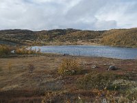 N, Buskerud, Hol, Tuva turisthytte 119, Saxifraga-Annemiek Bouwman