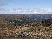 N, Buskerud, Hol, Tuva turisthytte 2, Saxifraga-Willem van Kruijsbergen