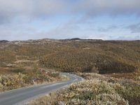 N, Buskerud, Hol, Tuva turisthytte 3, Saxifraga-Willem van Kruijsbergen