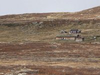 N, Buskerud, Hol, Tuva turisthytte 30, Saxifraga-Willem van Kruijsbergen