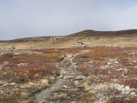 N, Buskerud, Hol, Tuva turisthytte 34, Saxifraga-Willem van Kruijsbergen