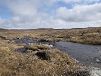 N, Buskerud, Hol, Tuva turisthytte 42, Saxifraga-Willem van Kruijsbergen