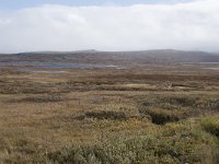 N, Buskerud, Hol, Tuva turisthytte 50, Saxifraga-Willem van Kruijsbergen