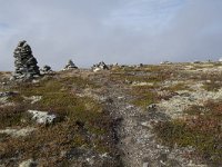 N, Buskerud, Hol, Tuva turisthytte 55, Saxifraga-Willem van Kruijsbergen