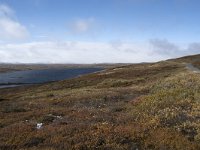 N, Buskerud, Hol, Tuva turisthytte 6, Saxifraga-Willem van Kruijsbergen