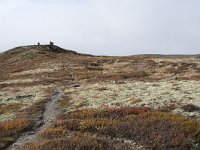 N, Buskerud, Hol, Tuva turisthytte 60, Saxifraga-Willem van Kruijsbergen