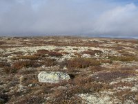 N, Buskerud, Hol, Tuva turisthytte 61, Saxifraga-Willem van Kruijsbergen