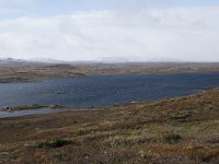 N, Buskerud, Hol, Tuva turisthytte 7, Saxifraga-Willem van Kruijsbergen