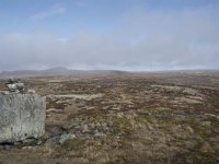 N, Buskerud, Hol, Tuva turisthytte 73, Saxifraga-Willem van Kruijsbergen