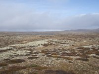 N, Buskerud, Hol, Tuva turisthytte 74, Saxifraga-Willem van Kruijsbergen