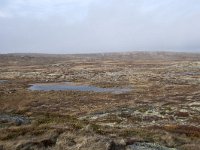 N, Buskerud, Hol, Tuva turisthytte 75, Saxifraga-Willem van Kruijsbergen