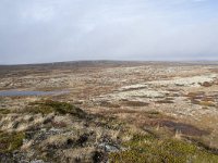 N, Buskerud, Hol, Tuva turisthytte 79, Saxifraga-Willem van Kruijsbergen